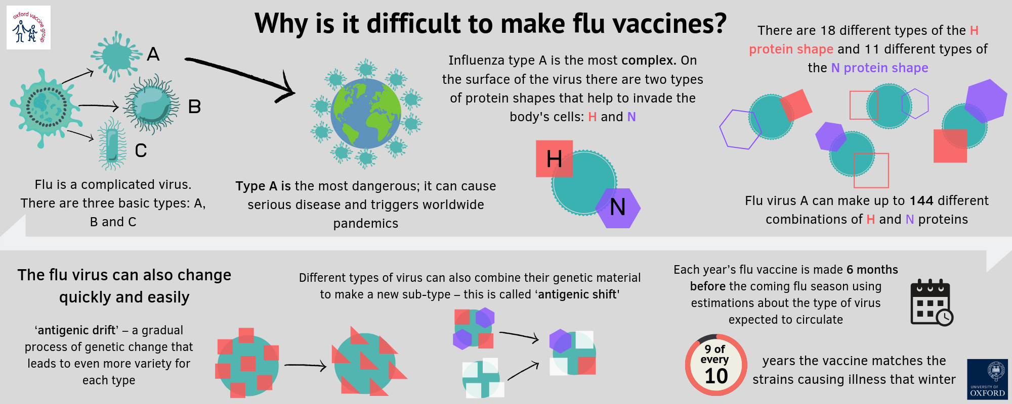 Why is it difficult to make flu vaccines diagram